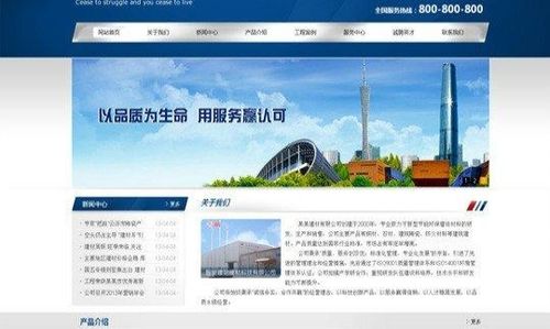 南京专业从事企业网站建设 1000